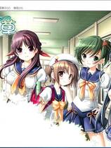 509 - 四叶草 よつのは 汉化硬盘去广告纯净版