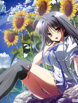 358 -  夏空的英仙座去广告纯净版 夏空のペルセウス 简体中文汉化硬盘纯净版