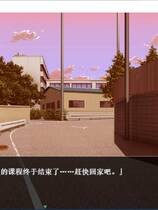 893 - 妹快乐堕落：被哥哥强行监禁嘿嘿后！妹快楽堕ち～お兄ちゃんに無理やりハメられてから～ ADV动态CG完整汉化硬盘版